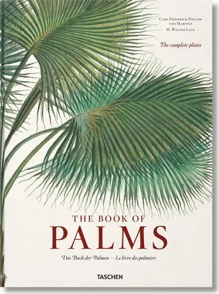 Обложка книги von Martius. The Book of Palms, Lack H. Walter