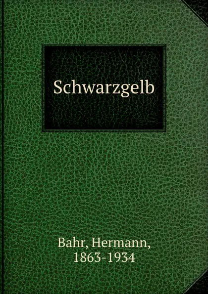 Обложка книги Schwarzgelb, Hermann Bahr