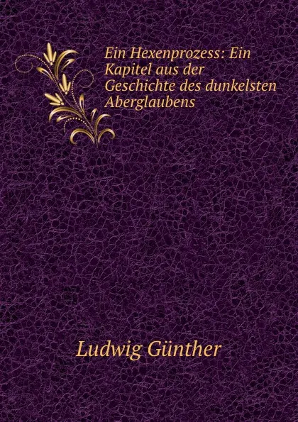 Обложка книги Ein Hexenprozess: Ein Kapitel aus der Geschichte des dunkelsten Aberglaubens, Ludwig Günther