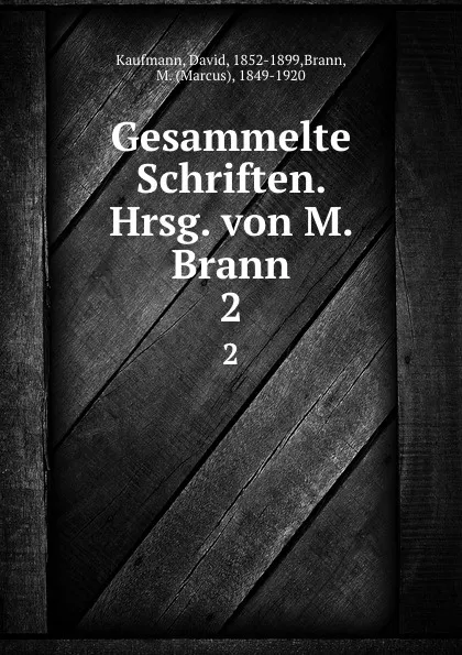 Обложка книги Gesammelte Schriften. Hrsg. von M. Brann. 2, David Kaufmann