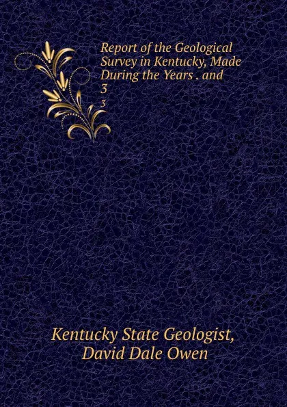 Обложка книги Report of the Geological Survey in Kentucky, Made During the Years . and . 3, Kentucky State Geologist