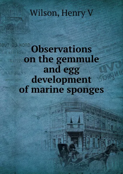 Обложка книги Observations on the gemmule and egg development of marine sponges, Henry V. Wilson