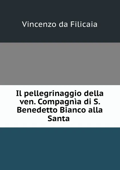 Обложка книги Il pellegrinaggio della ven. Compagnia di S. Benedetto Bianco alla Santa ., Vincenzo da Filicaia