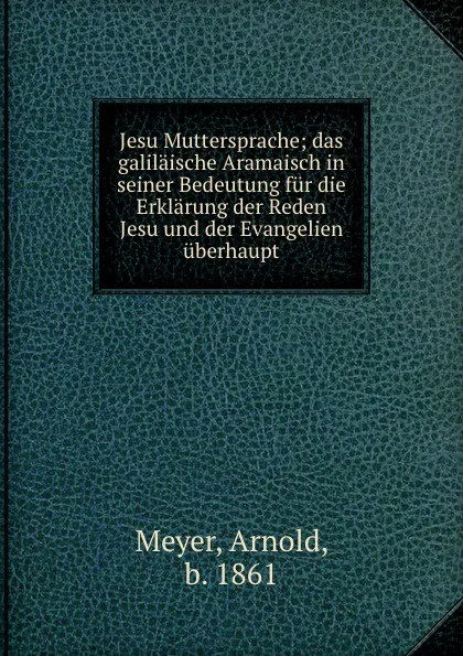 Обложка книги Jesu Muttersprache; das galilaische Aramaisch in seiner Bedeutung fur die Erklarung der Reden Jesu und der Evangelien uberhaupt, Arnold Meyer