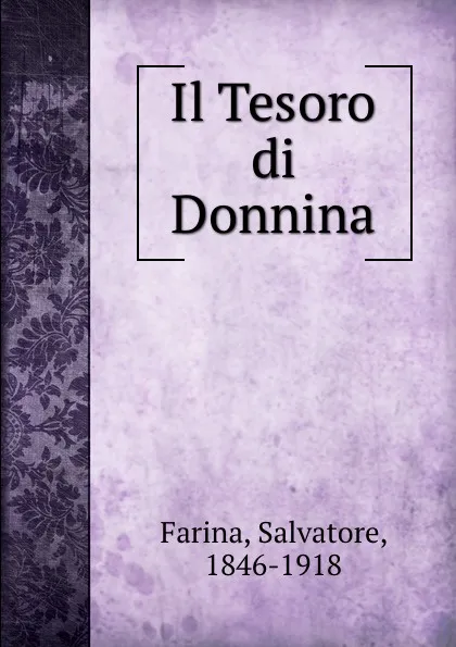 Обложка книги Il Tesoro di Donnina, Salvatore Farina