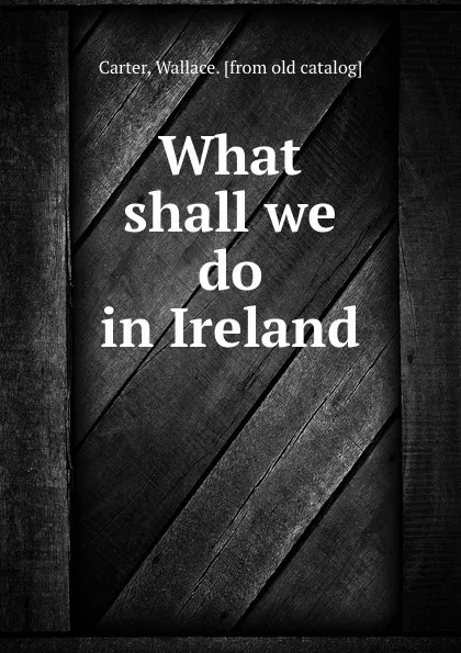 Обложка книги What shall we do in Ireland, Wallace Carter
