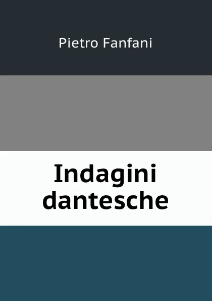 Обложка книги Indagini dantesche, Fanfani Pietro