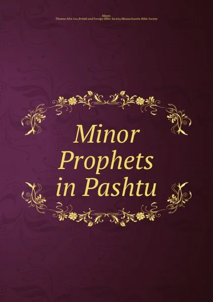 Обложка книги Minor Prophets in Pashtu, Thomas John Lee Mayer