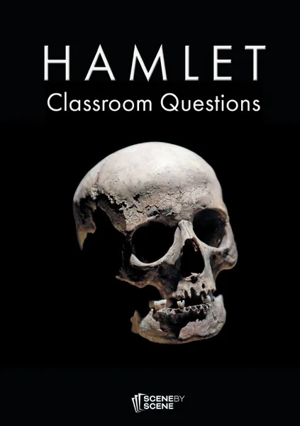 Обложка книги Hamlet Classroom Questions, Amy Farrell