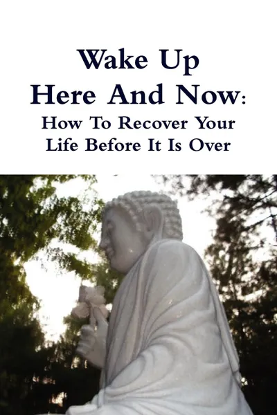 Обложка книги Wake Up Here And Now. How To Recover Your Life Before It Is Over, Thay Thich Thong Tri, Martin Avery