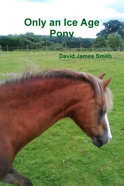 Обложка книги Only an Ice Age Pony, David James Smith