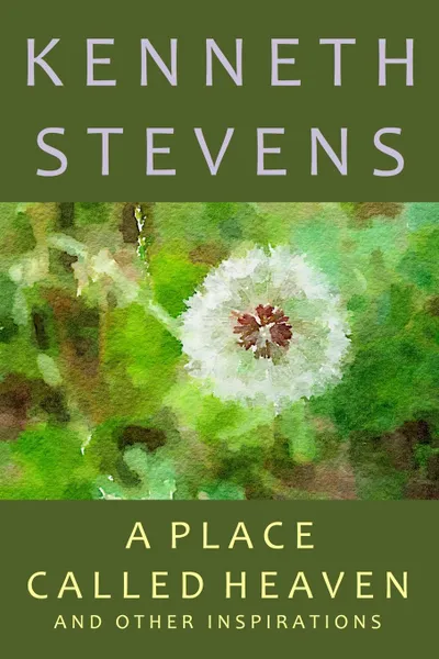 Обложка книги A Place Called Heaven, Kenneth Stevens