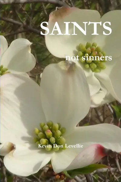 Обложка книги SAINTS  not sinners, Kevin Don Levellie