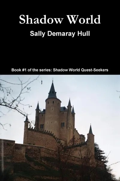 Обложка книги Shadow World, Sally Hull