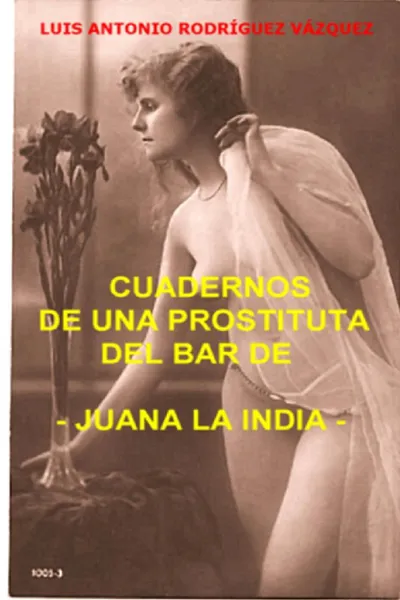 Обложка книги Cuadernos de una prostituta del bar de Juana la india, Luis Antonio Rodriguez Vázquez