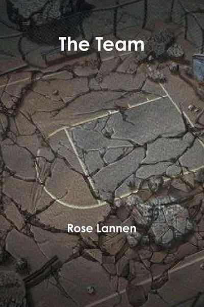 Обложка книги The Team, Rose Lannen