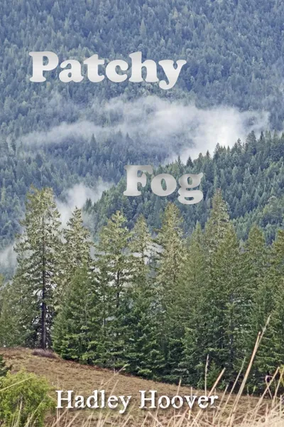 Обложка книги Patchy Fog, Hadley Hoover