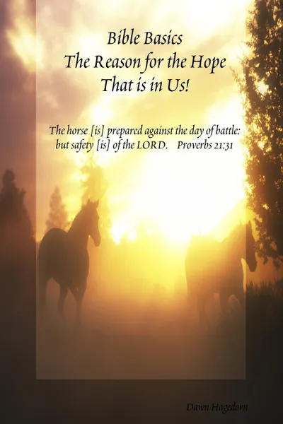 Обложка книги Bible Basics - The Reason for the Hope That is in Us., Dawn Hagedorn