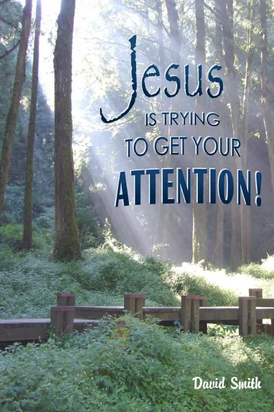 Обложка книги Jesus Is Trying To Get Your Attention, David Smith