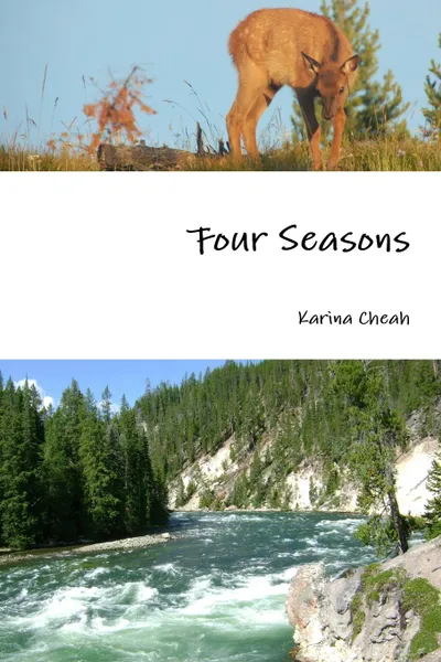 Обложка книги Four Seasons, Karina Cheah