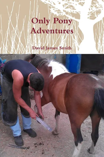 Обложка книги Only Pony Adventures, David James Smith