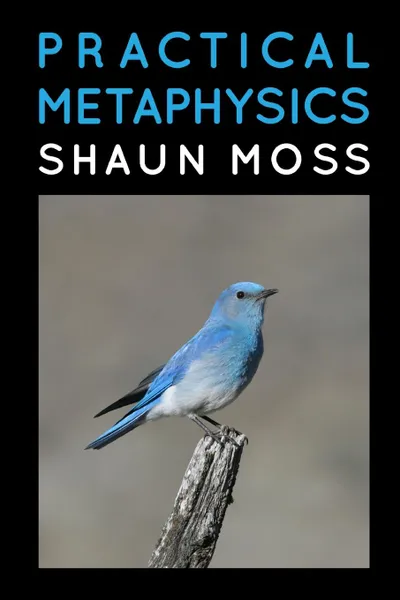 Обложка книги Practical Metaphysics, Shaun Moss