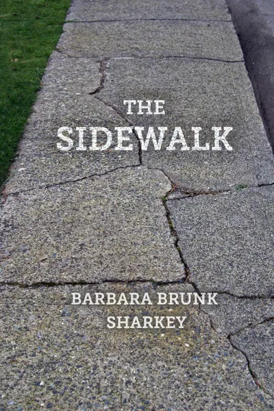 Обложка книги The Sidewalk, Barbara Brunk Sharkey