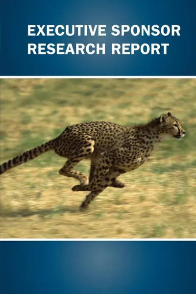 Обложка книги Executive Sponsor Research Report, James Johnson