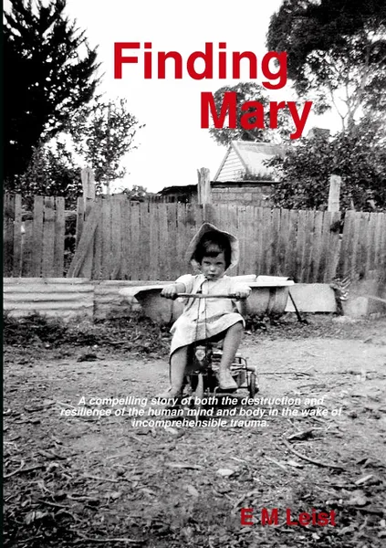 Обложка книги Finding Mary, E M Leist