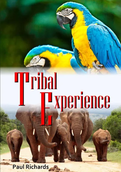 Обложка книги Tribal Experience, Paul Richards