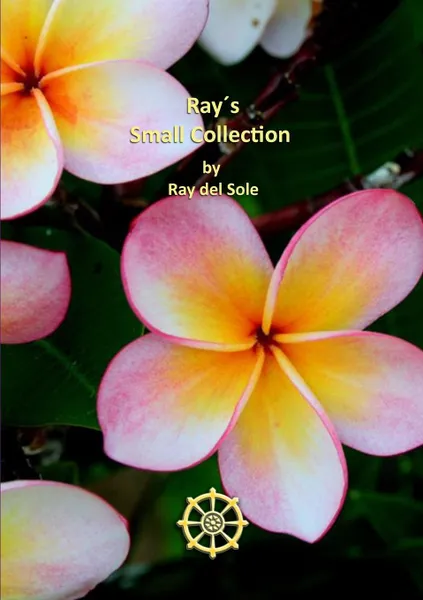 Обложка книги Ray.s Small Collection, Ray del Sole