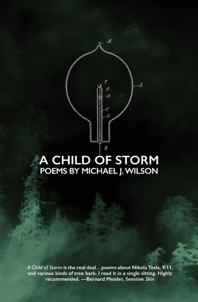 Обложка книги A Child of Storm. Poems by Michael J. Wilson, Michael J. Wilson