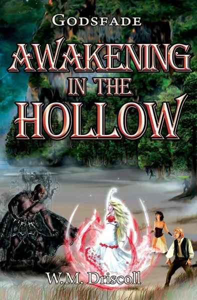 Обложка книги Awakening in the Hollow, W.M. Driscoll