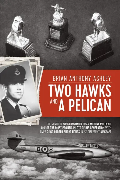 Обложка книги Two Hawks and a Pelican. The Memoir of Wing Commander Brain Anthony Ashley AFC (1928 - 2015), Anthony Brian Ashley