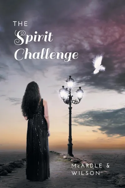 Обложка книги The Spirit Challenge, Rob Wilson, Marie McArdle