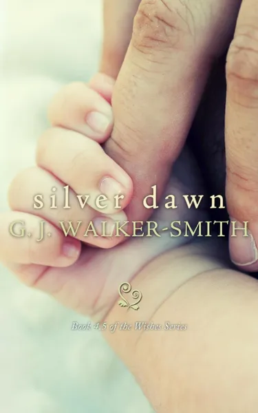 Обложка книги Silver Dawn, G J Walker-Smith