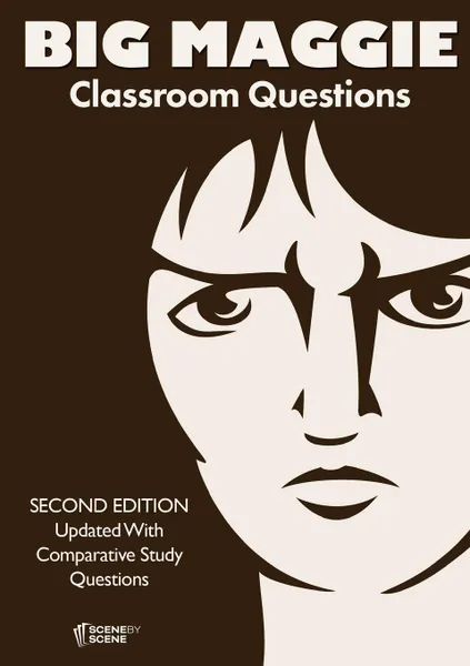Обложка книги Big Maggie Classroom Questions, Amy Farrell