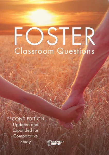 Обложка книги Foster Classroom Questions, Amy Farrell