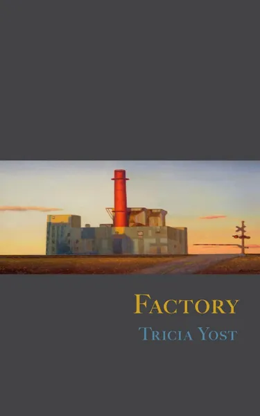 Обложка книги Factory, Tricia Yost