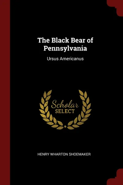 Обложка книги The Black Bear of Pennsylvania. Ursus Americanus, Henry Wharton Shoemaker