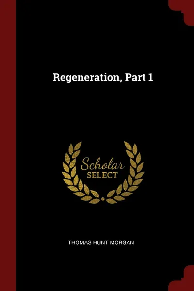 Обложка книги Regeneration, Part 1, Thomas Hunt Morgan