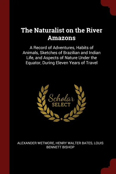 Обложка книги The Naturalist on the River Amazons. A Record of Adventures, Habits of Animals, Sketches of Brazilian and Indian Life, and Aspects of Nature Under the Equator, During Eleven Years of Travel, Alexander Wetmore, Henry Walter Bates, Louis Bennett Bishop