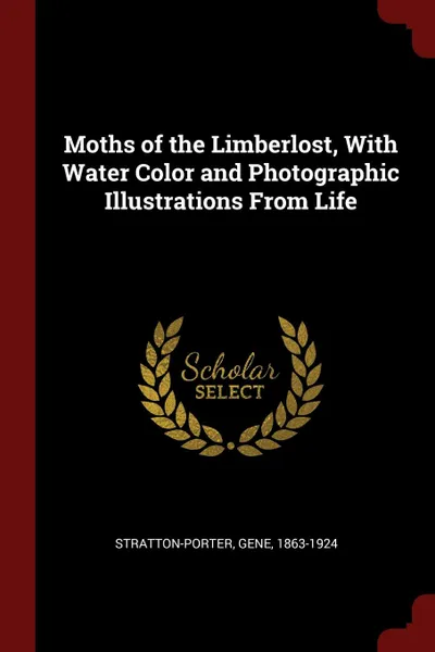 Обложка книги Moths of the Limberlost, With Water Color and Photographic Illustrations From Life, Gene Stratton-Porter