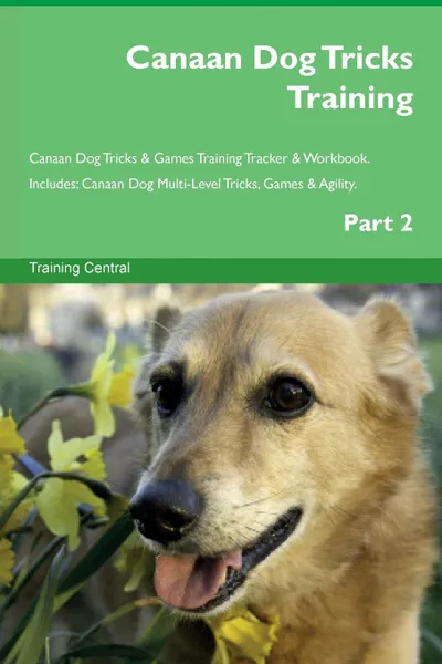 Обложка книги Canaan Dog Tricks Training Canaan Dog Tricks . Games Training Tracker . Workbook.  Includes. Canaan Dog Multi-Level Tricks, Games . Agility. Part 2, Training Central
