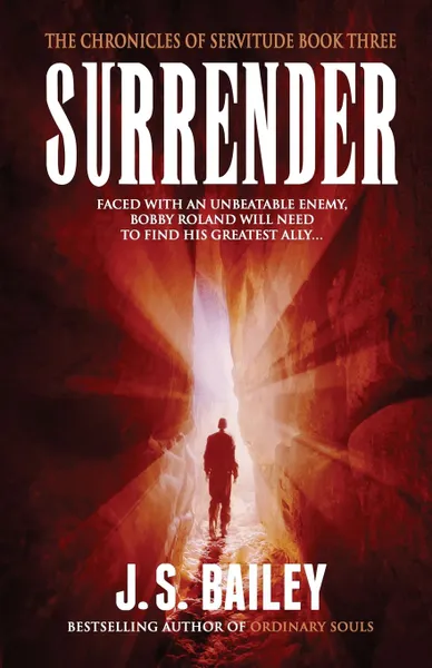 Обложка книги Surrender, J.S. Bailey