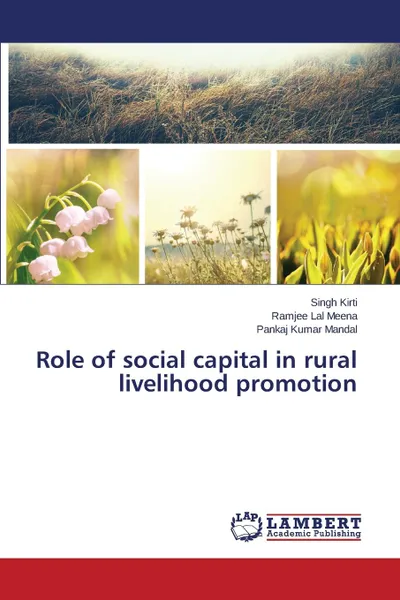 Обложка книги Role of Social Capital in Rural Livelihood Promotion, Kirti Singh, Meena Ramjee Lal, Mandal Pankaj Kumar