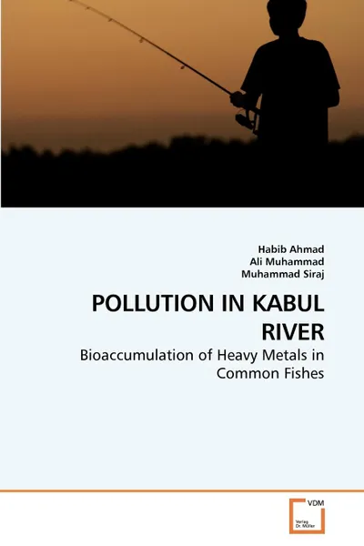 Обложка книги POLLUTION IN KABUL RIVER, Habib Ahmad, Ali Muhammad, Muhammad Siraj