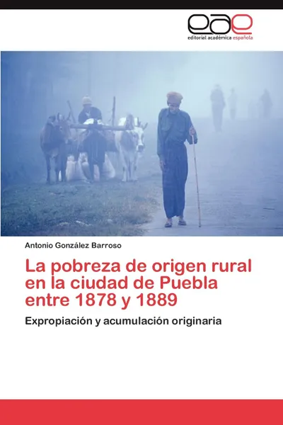 Обложка книги La Pobreza de Origen Rural En La Ciudad de Puebla Entre 1878 y 1889, Antonio Gonz Lez Barroso, Antonio Gonzalez Barroso