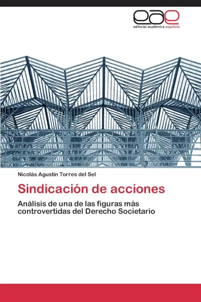 Обложка книги Sindicacion de acciones, Torres del Sel Nicolás Agustín