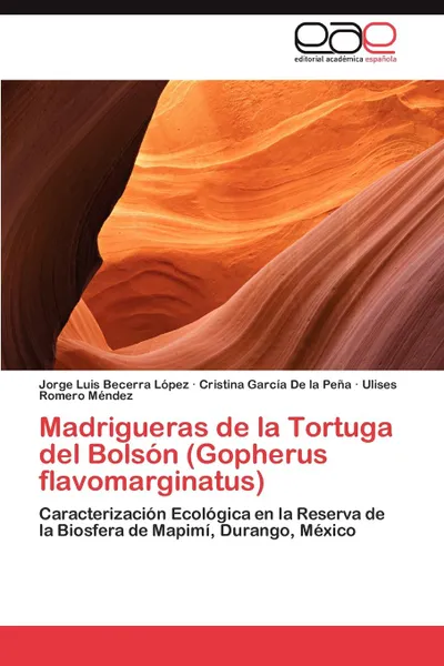 Обложка книги Madrigueras de La Tortuga del Bolson (Gopherus Flavomarginatus), Jorge Luis Becerra L. Pez, Cristina Garc a. De La Pe a., Ulises Romero M. Ndez